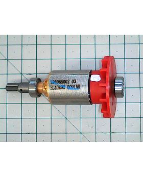 Rotor Assembly M12 CID(74) 202184001 MWK