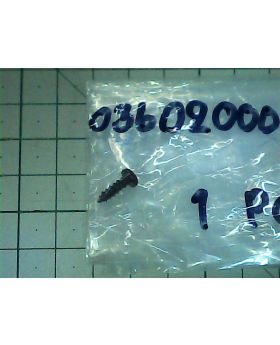 Screw ST3x10 AG10-100S(52) 036020001042 MWK